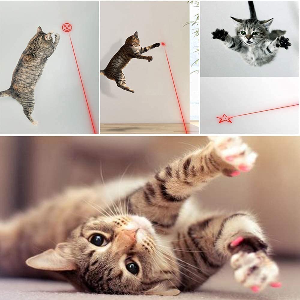 Multi Pattern LED Pointer Light Interactive Kitten Toy