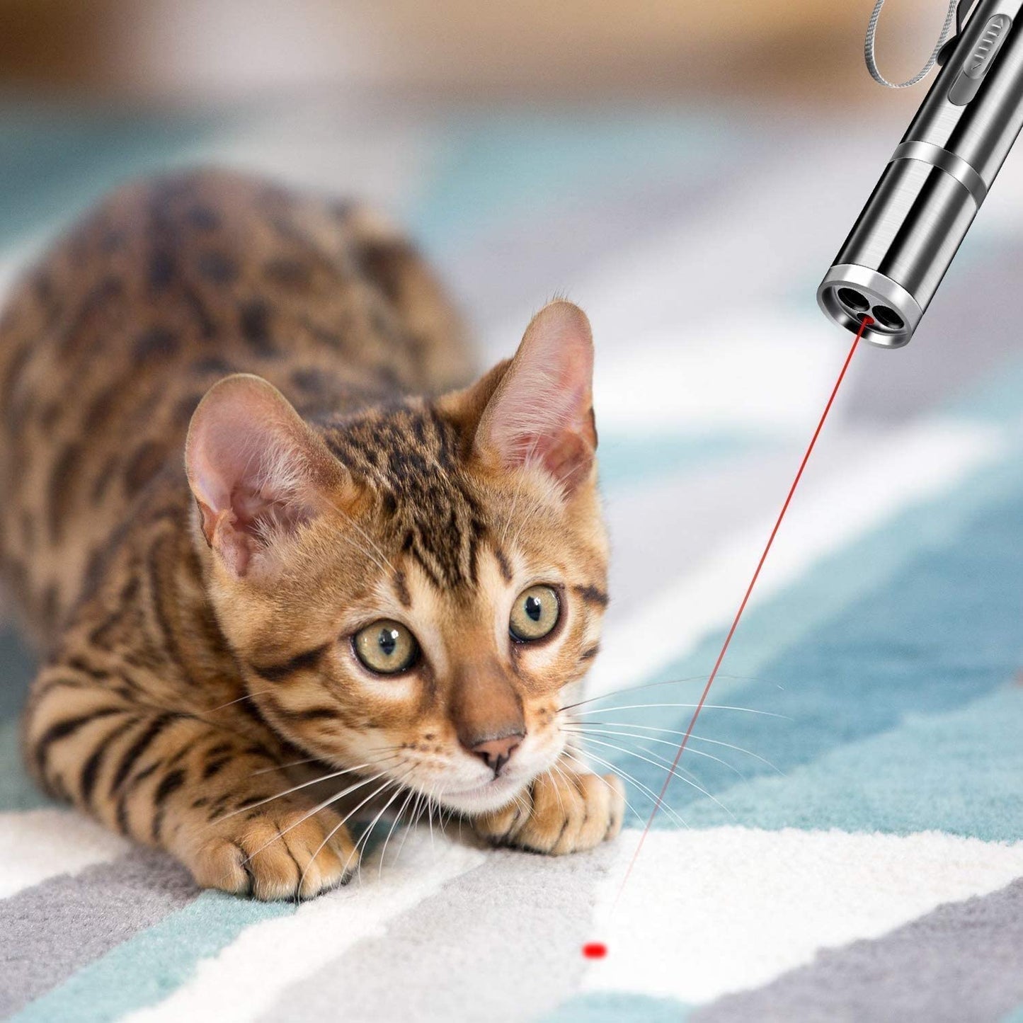 Multi Pattern LED Pointer Light Interactive Kitten Toy