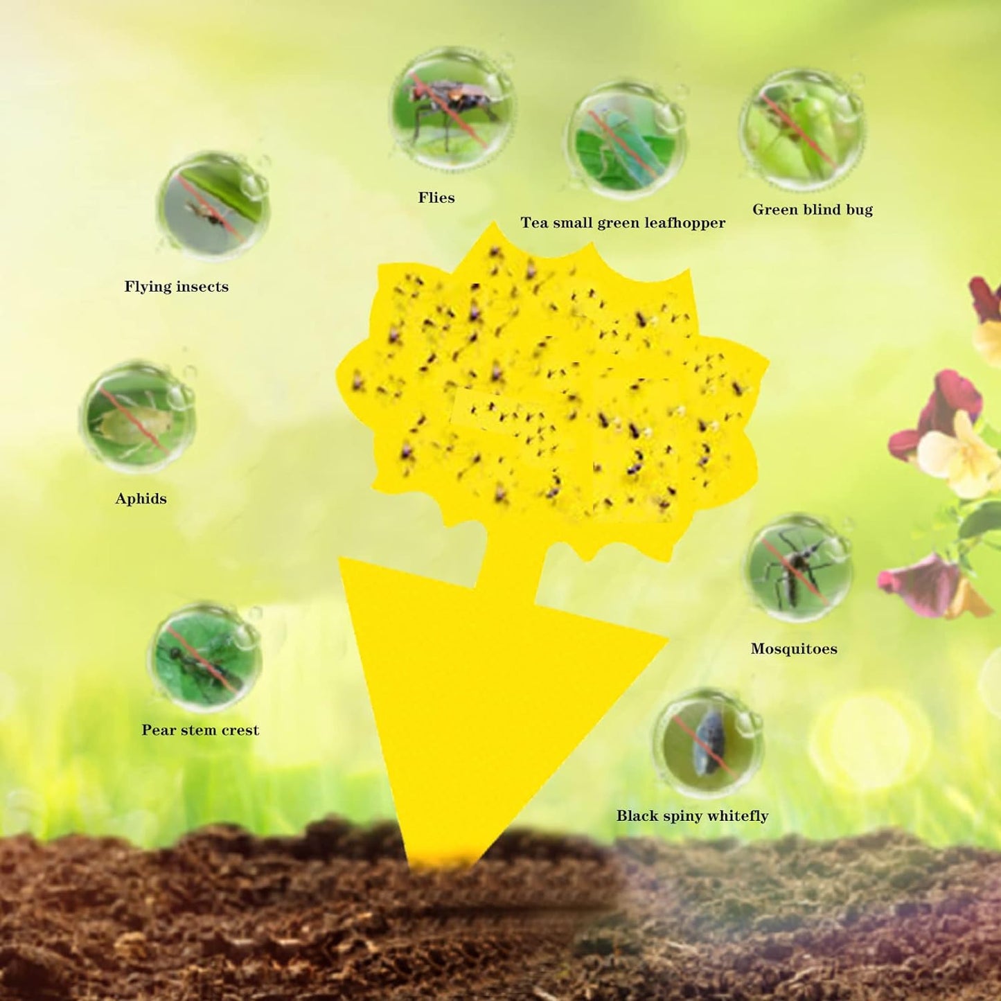 Fly Traps for White Flies,Mosquitos,Flying Insects