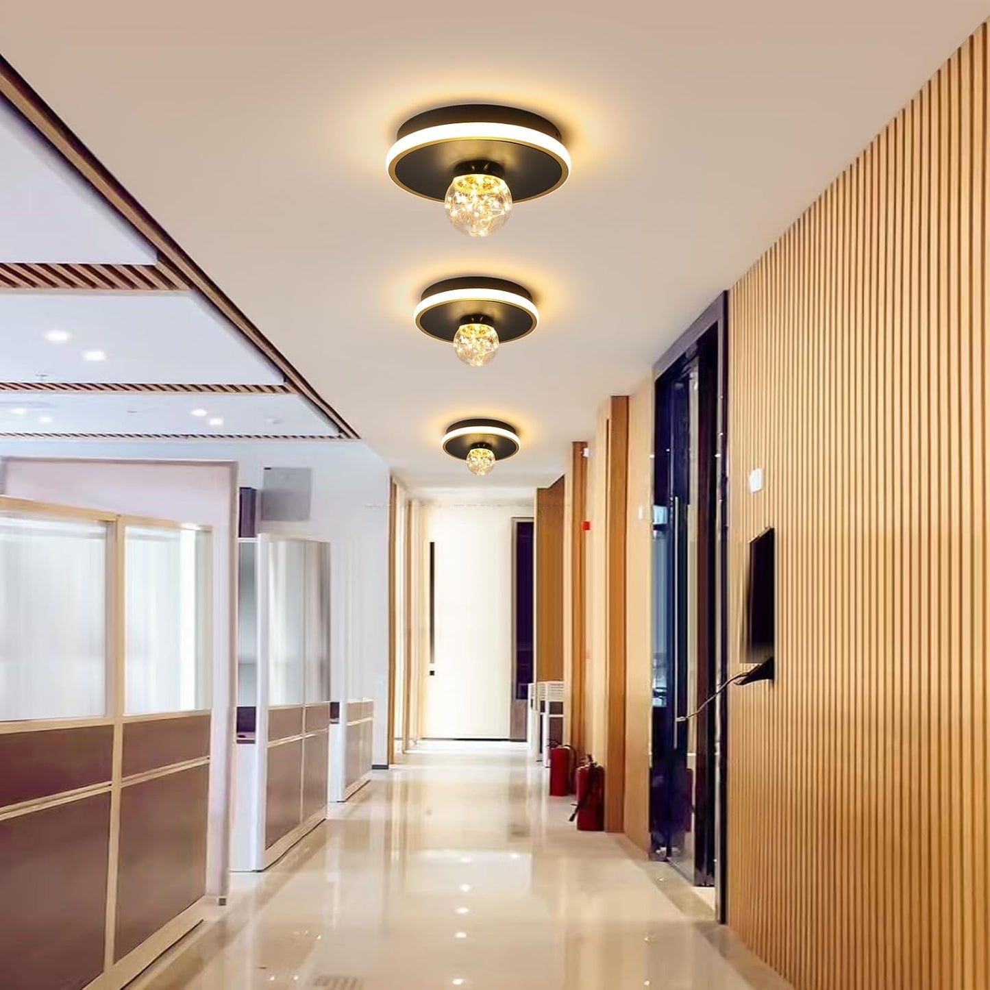 Gawarm LED Ceiling Lights,24W Hallway Light,Black and Gold Chandelier(3000K/Warm Light/20CM)