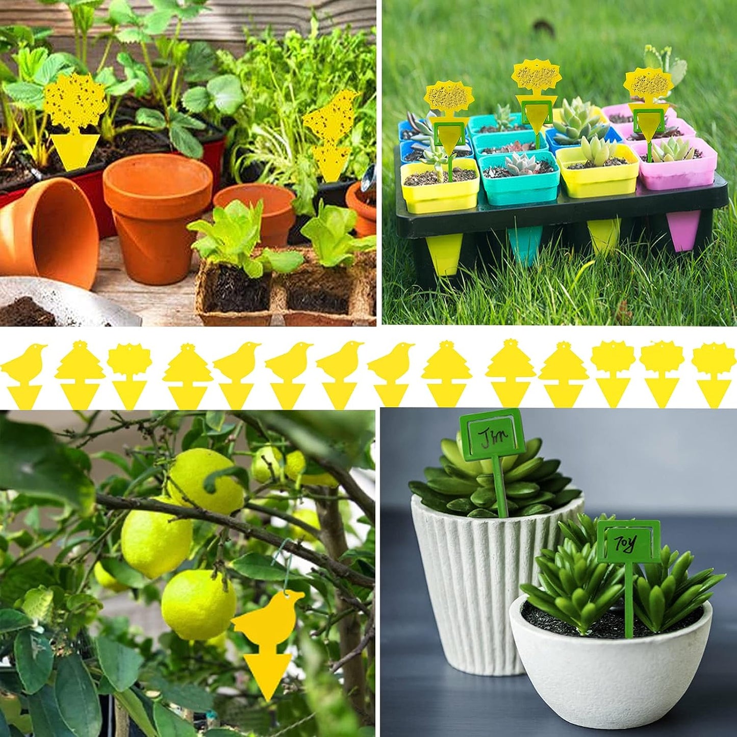 Fly Traps for White Flies,Mosquitos,Flying Insects